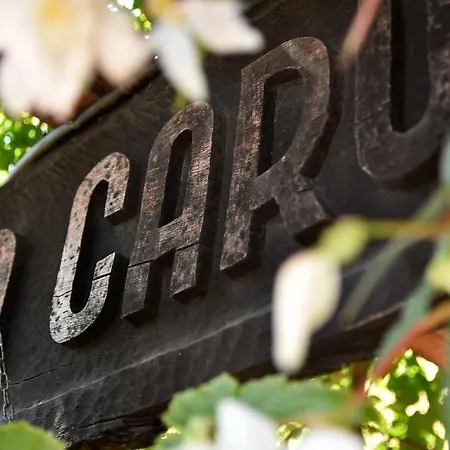 Carul cu Flori-2