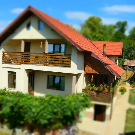 Casa Smeilor Horezu-3