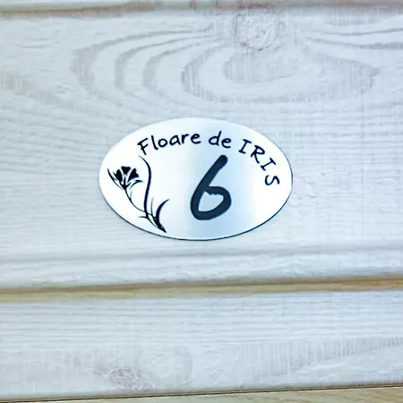 Floare de Iris-2