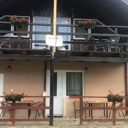 Casa Albert Valea Avrigului-2