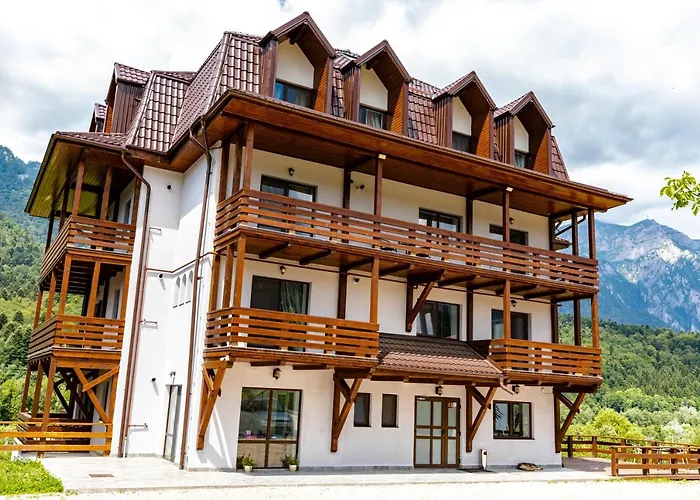 Yael Luxury Apartments 3 Buşteni