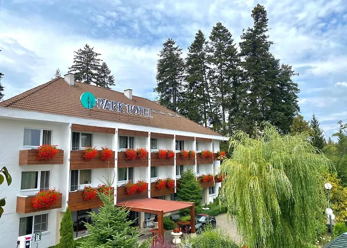 Hotel Park Sfantu Gheorghe