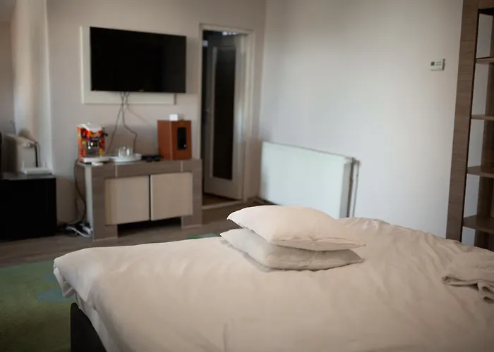 Viking Apartment Grigo Cluj-Napoca