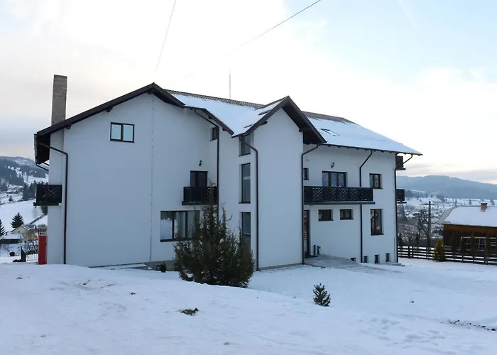 Pensiunea Arinas Vatra Dornei