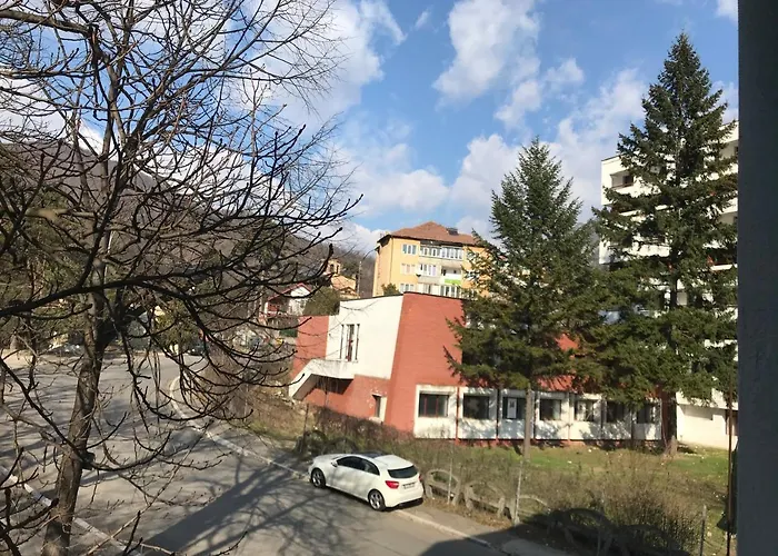 Pinul Negru 2 Hotel Băile Herculane