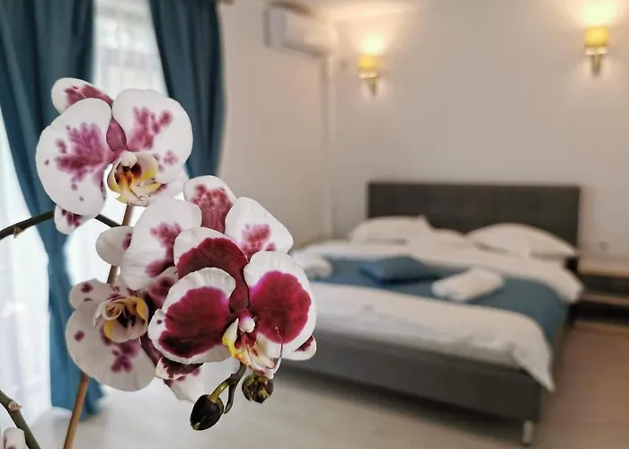 Casa Loro Hotel Eforie Sud 