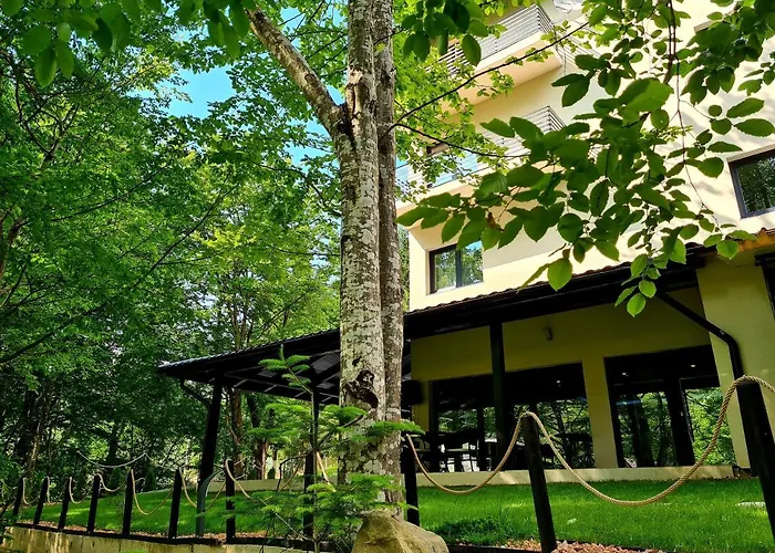 Beconia Riverside Văliug