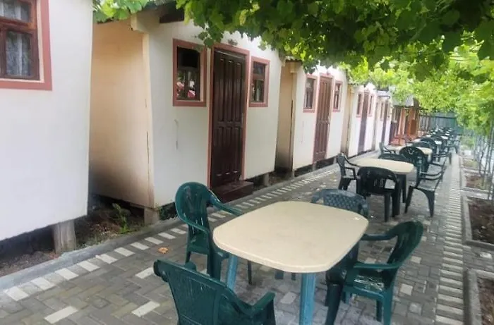 Casa Mihai Costineşti