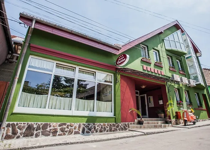 Pensiunea Cristina Târgu-Mureş