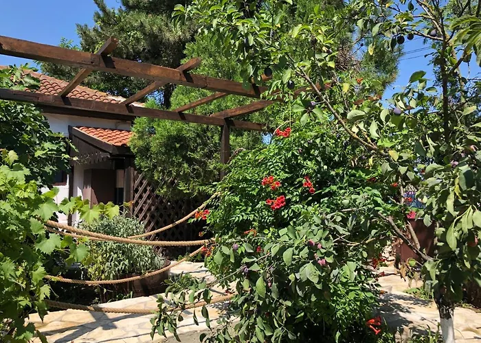 Grauri Si Smochini Hotel Vadu