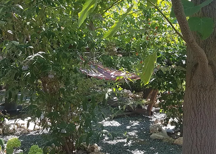 Casa Magnolia Hotel Douăzeci şi Trei August