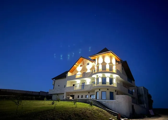 Pensiunea Palace Băile Felix