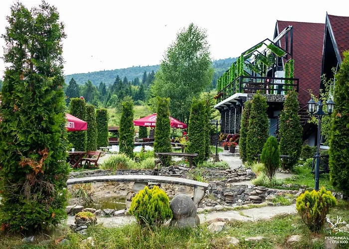 Pensiunea LIN COTA 1000 Sinaia