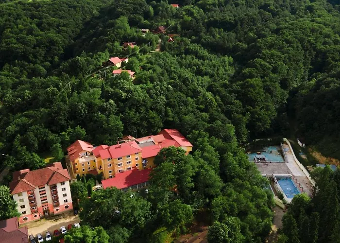 Aida Hotel Spa & Tratament Geoagiu Băi