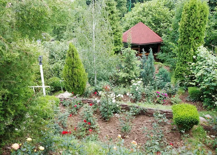 Pension Stejeris Brașov