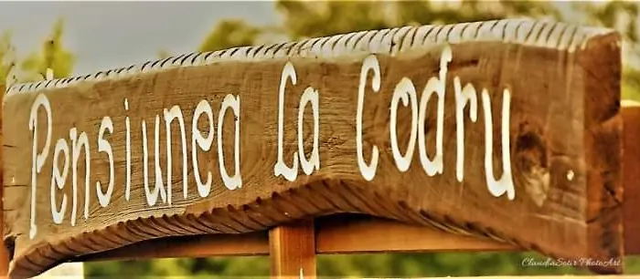 Pensiunea La Codru Jurilovca