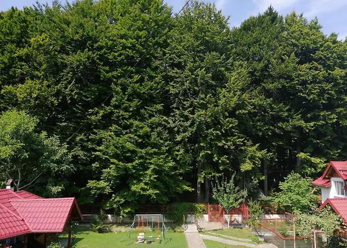 Pensiunea MARIA Sîmbăta de Sus