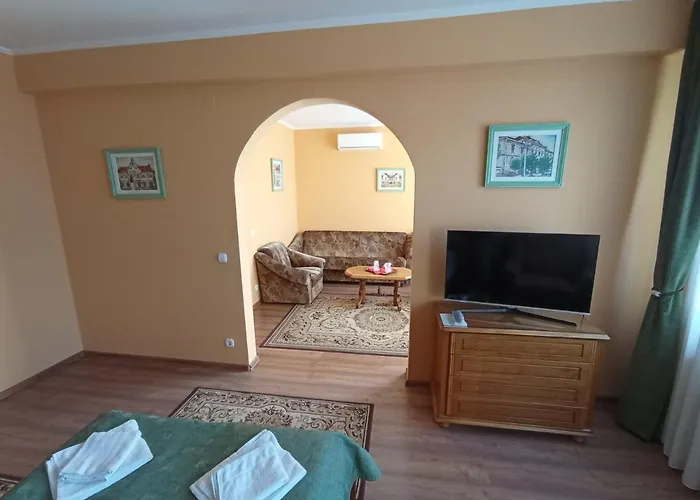 Pensiunea Cristina Târgu-Mureş