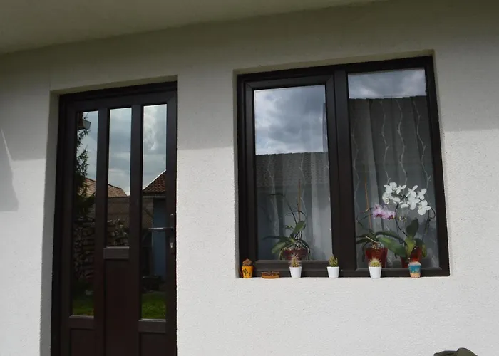 Havasi Gyopar Bed & Breakfast Praid