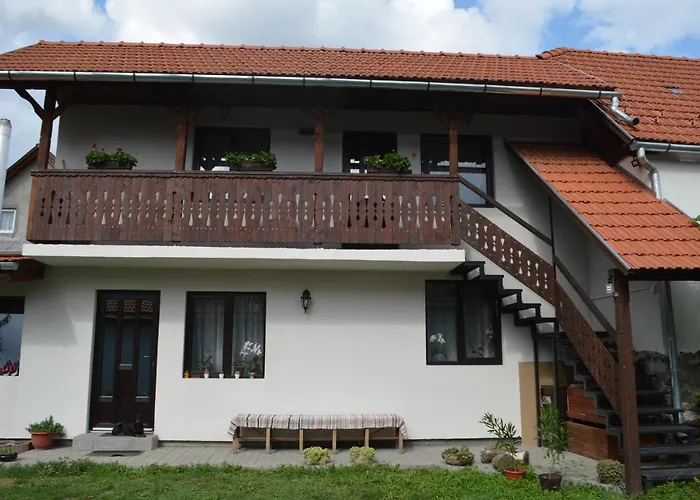 Havasi Gyopar Bed & Breakfast Praid