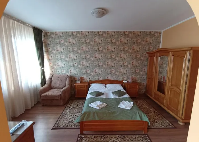 Pensiunea Cristina Târgu-Mureş