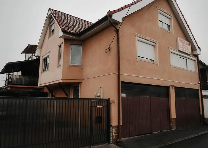 Vila Delia Oradea
