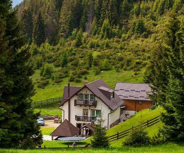 Pensiunea Poienita Ursului Fundata