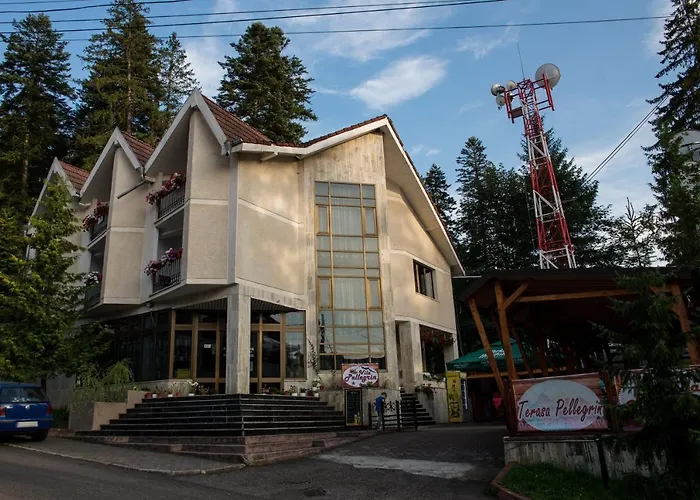 Vila Pellegrin Durău