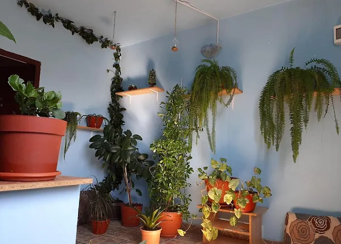 Casa Ana Hotel Bucureşti