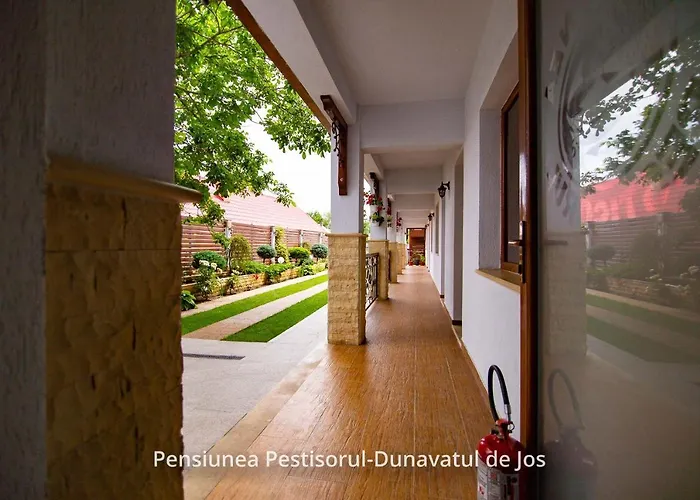 Pensiunea Pestisorul Dunavăţu de Jos