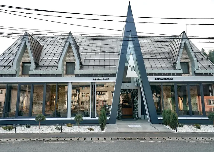 Pensiune Restaurant Capra Neagra Moisei