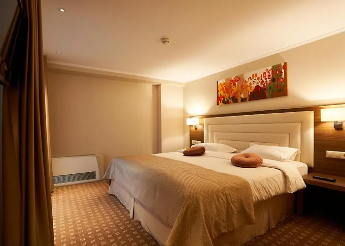 Petrodava One Piatra Neamţ