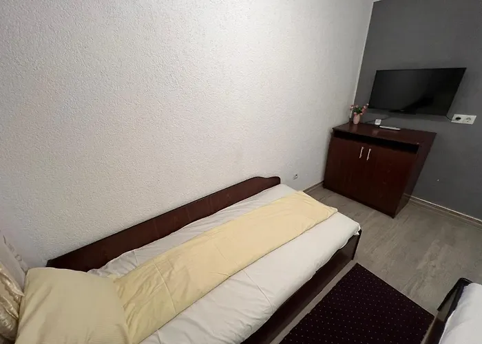 Vila Delia Oradea