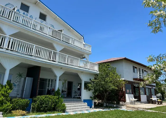 Casa Analys Hotel Douăzeci şi Trei August