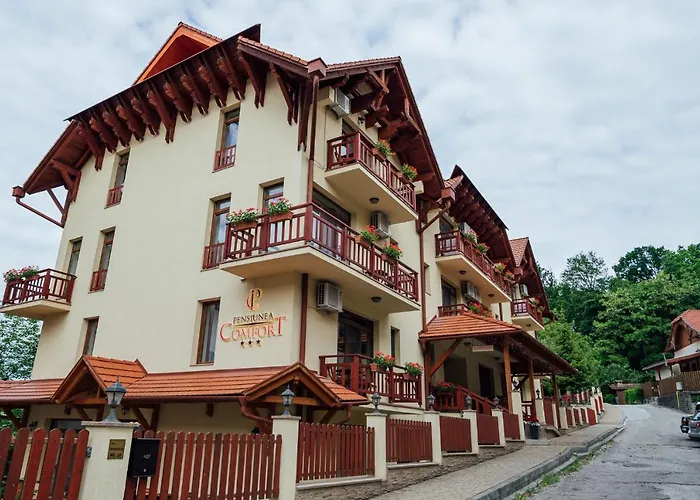 Pensiunea Comfort Sovata