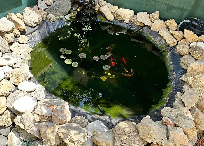 Casa Veseliei Hotel Eforie Nord