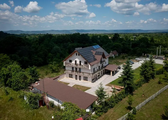 Evergreen Chalet Avrig