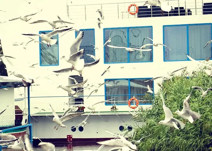 Bella Marina Hotel Băltenii de Sus