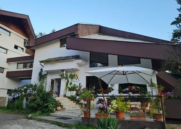 Randunica Hotel Văliug
