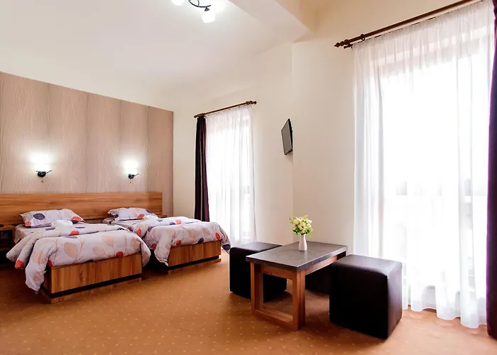 Pensiunea Diadis Cluj-Napoca