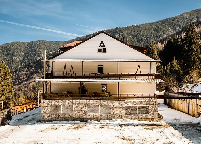 Alpina Retezat Hotel Rîu de Mori