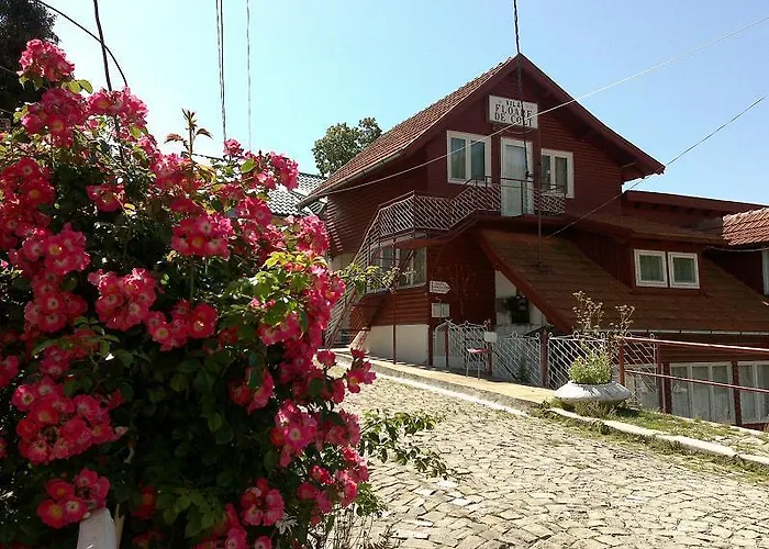 Pensiunea Floare de Colt Sinaia