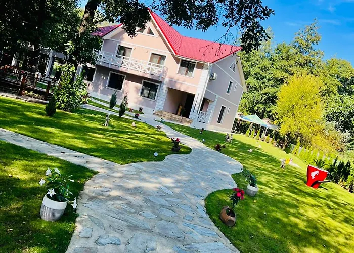Pensiunea Pink House Runcu