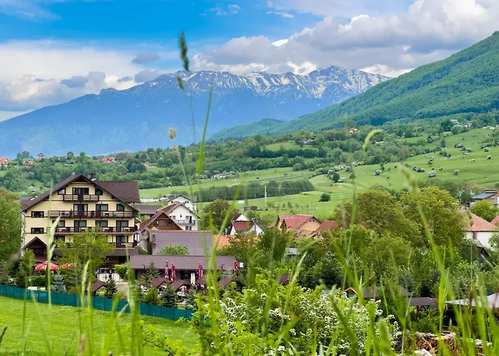 Pensiunea Hora cu Brazi Zărneşti