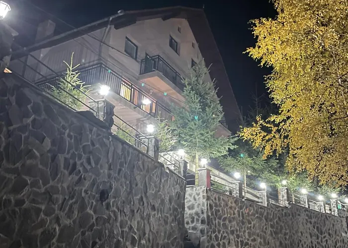 Pensiunea Joe Păltiniş