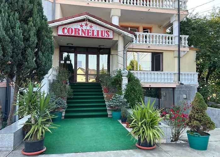 Pensiunea Cornelius Piatra Neamţ