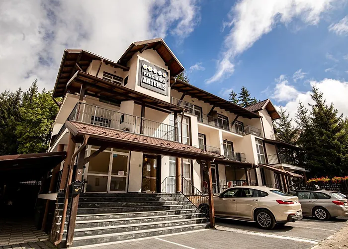 Artemis Villa Poiana Braşov