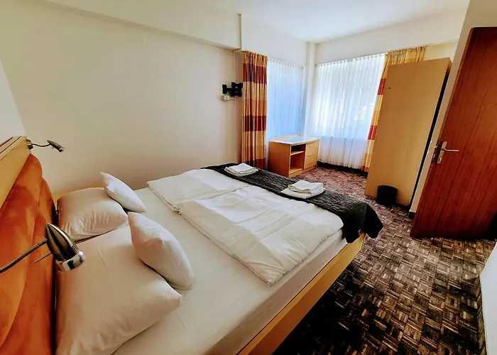Alpina Retezat Hotel Rîu de Mori