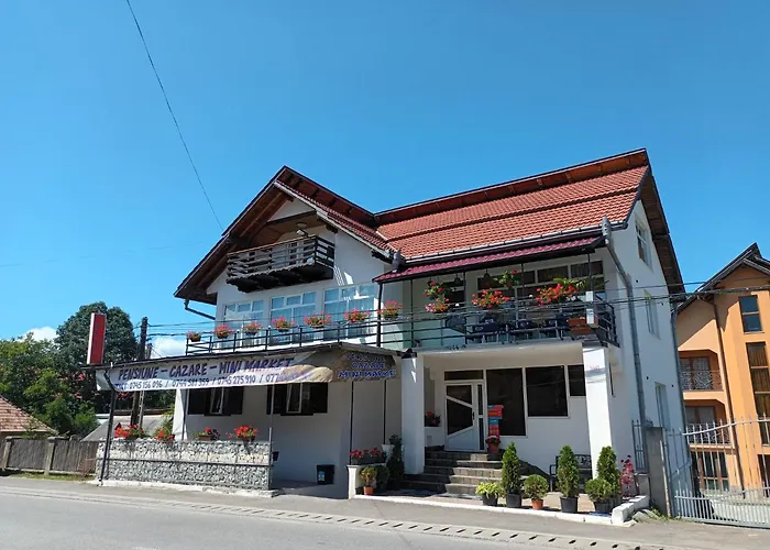 Casa Spilt Borşa