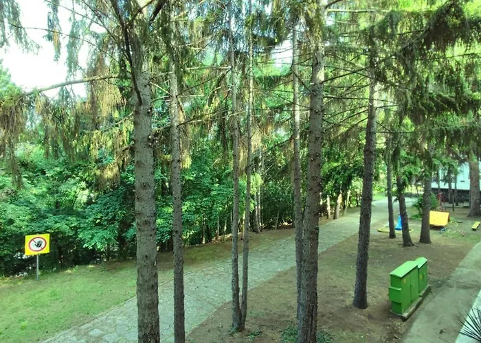 Park Hotel Briz Nisipurile de Aur